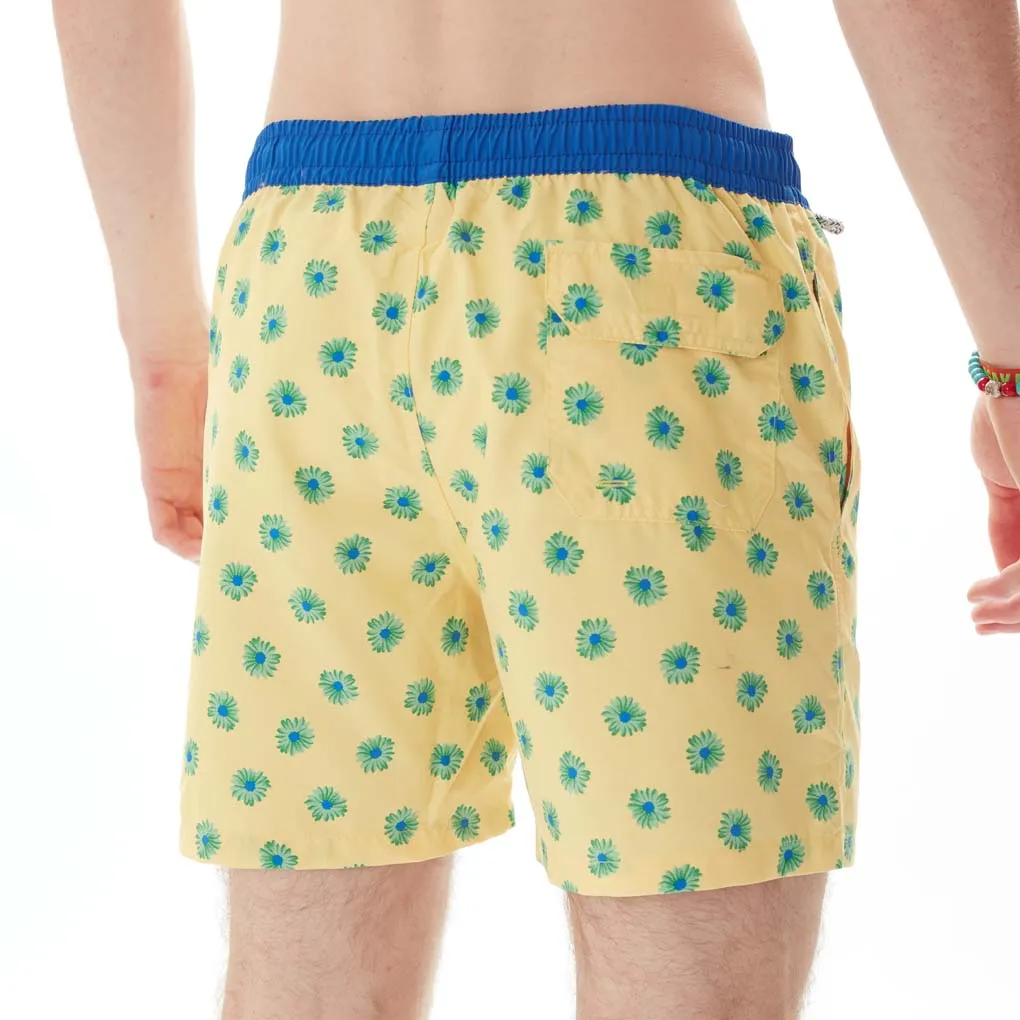 MS4915 - Daisies yellow