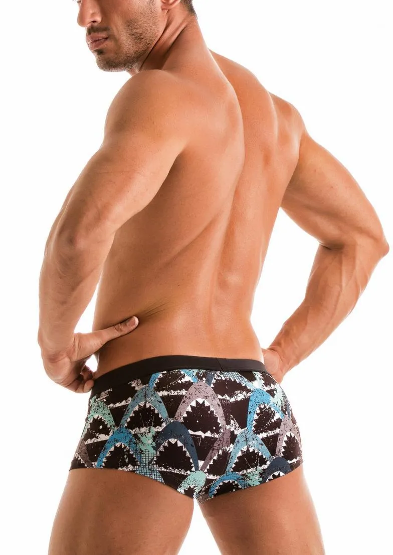 SWIMMING TRUNKS 1909b2